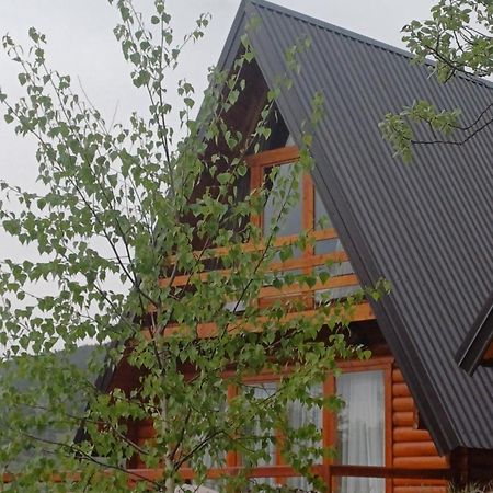 Villa Wood Borje Žabljak エクステリア 写真