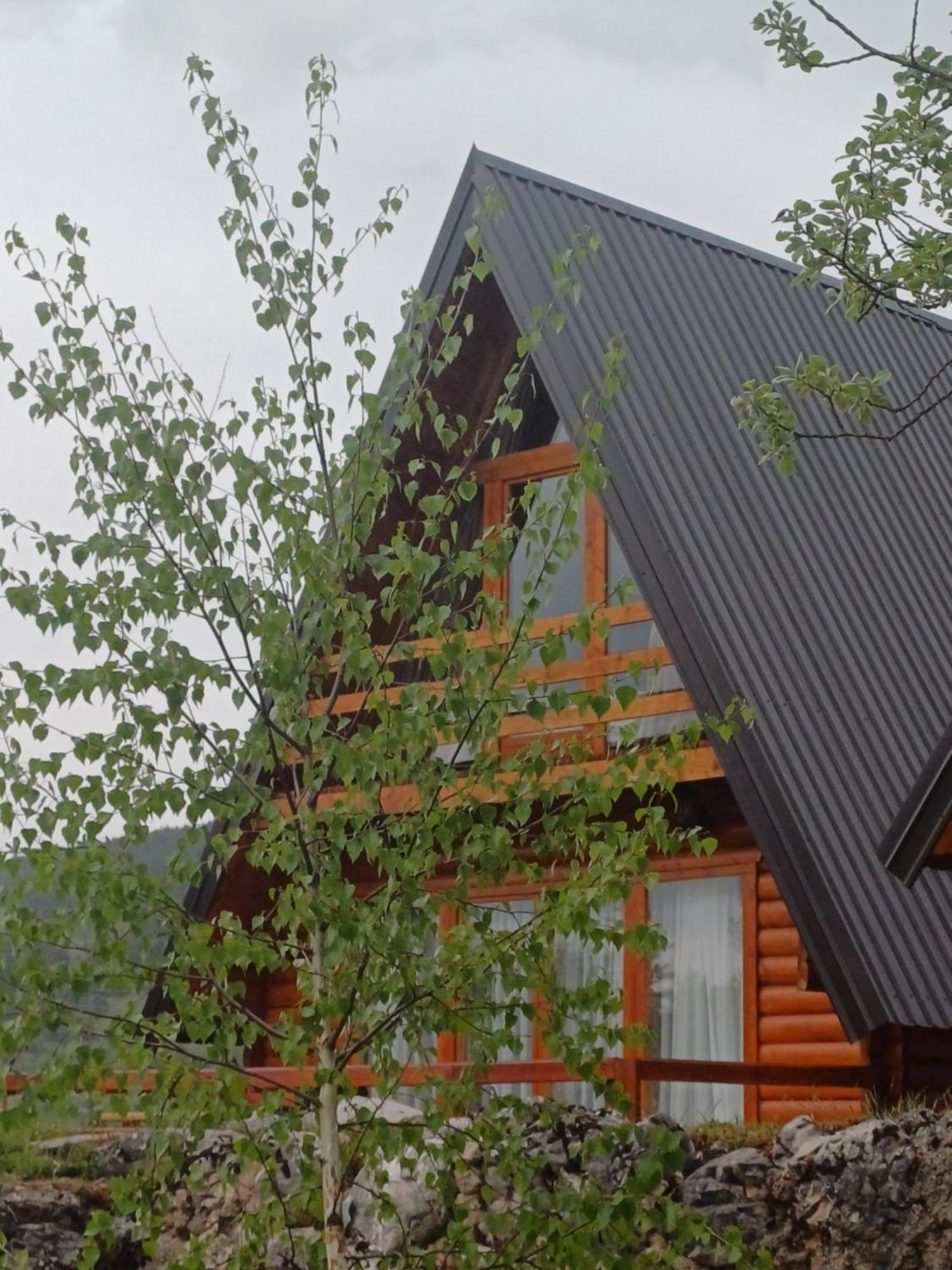 Villa Wood Borje Žabljak エクステリア 写真